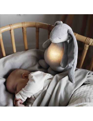 Moonie humming rabbit with a lamp | Silver